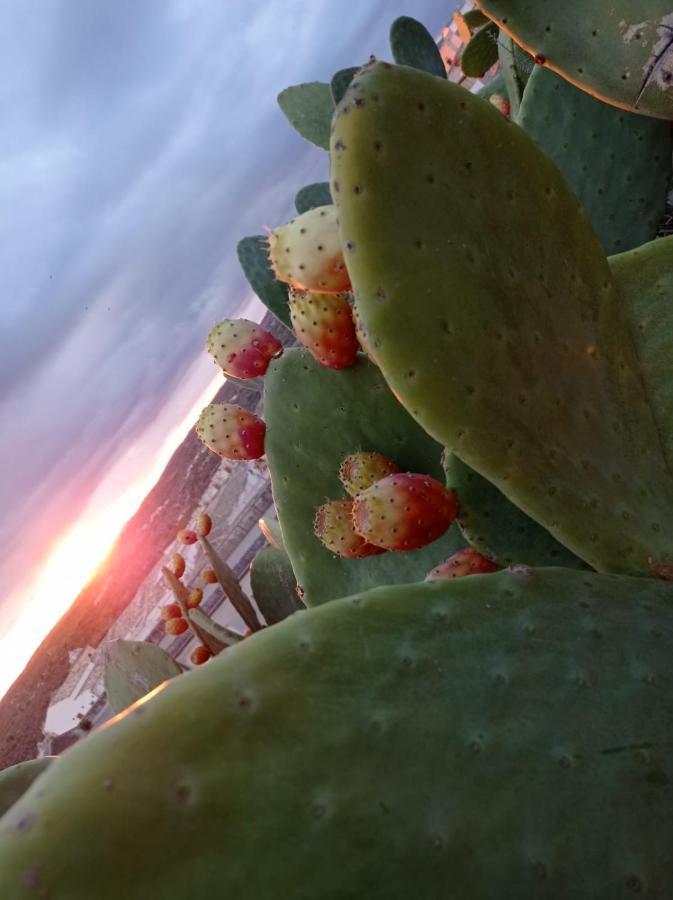 Trigona Garden Suite Noto Kültér fotó