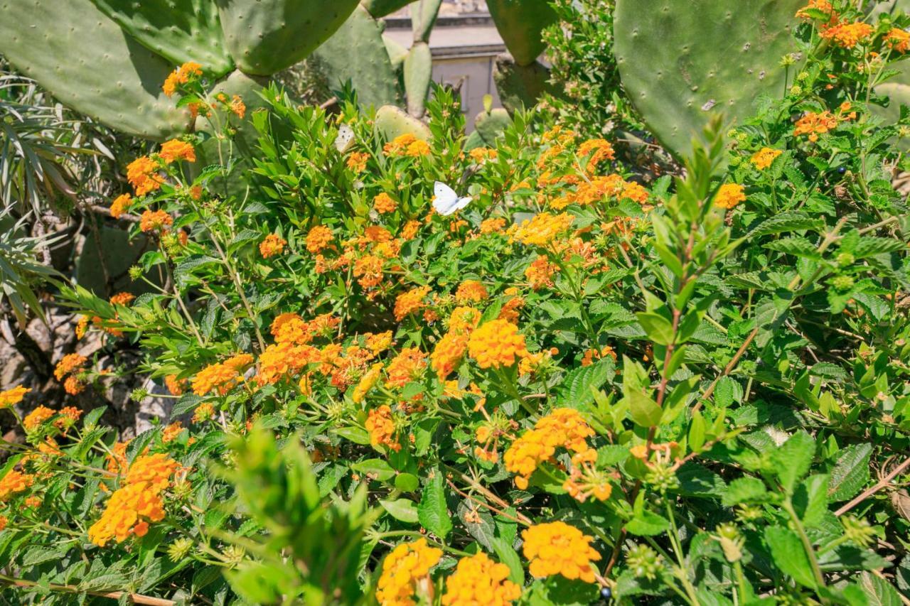 Trigona Garden Suite Noto Kültér fotó